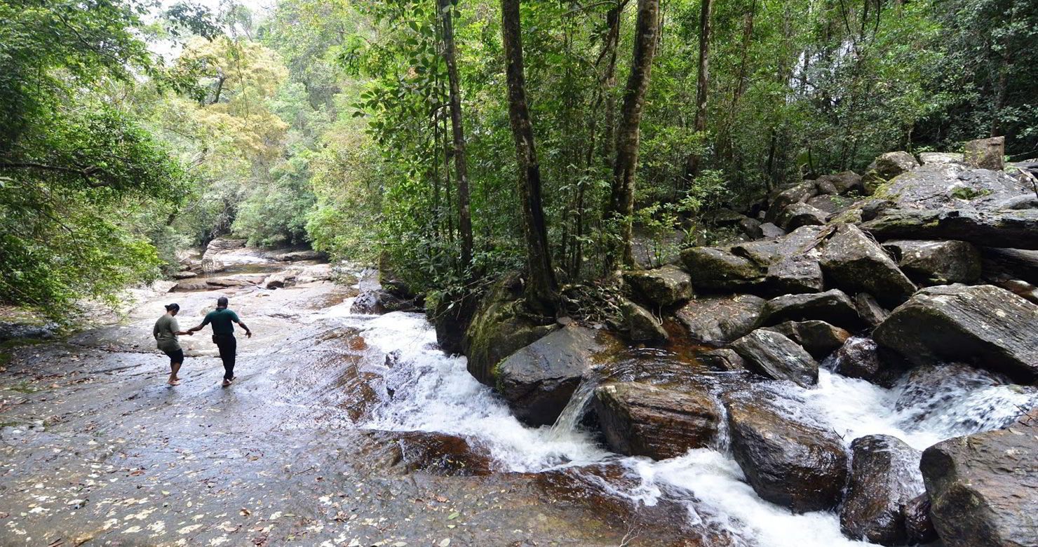 doresanipalya-forest-reserve